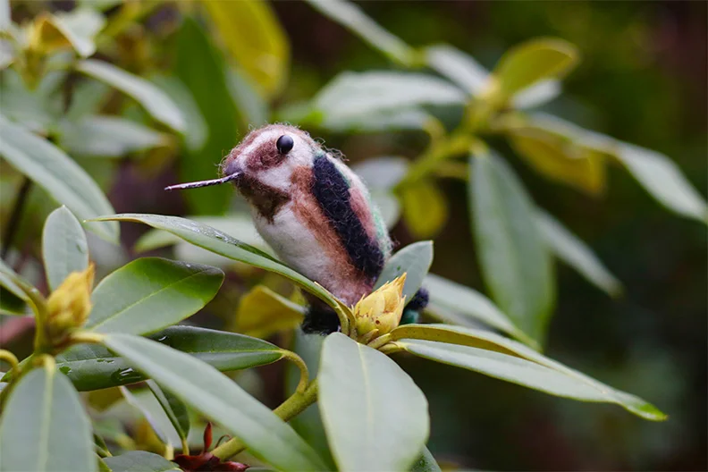 felted-hummingbird-web.jpg