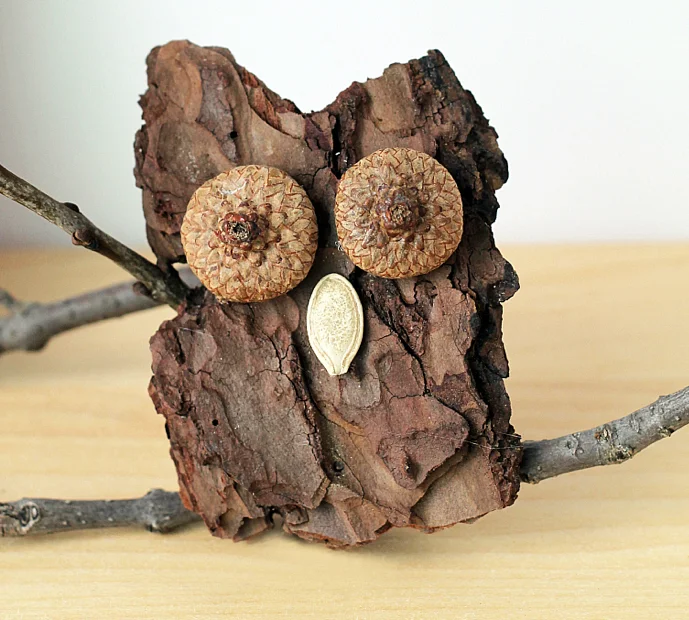 bark owl.jpeg