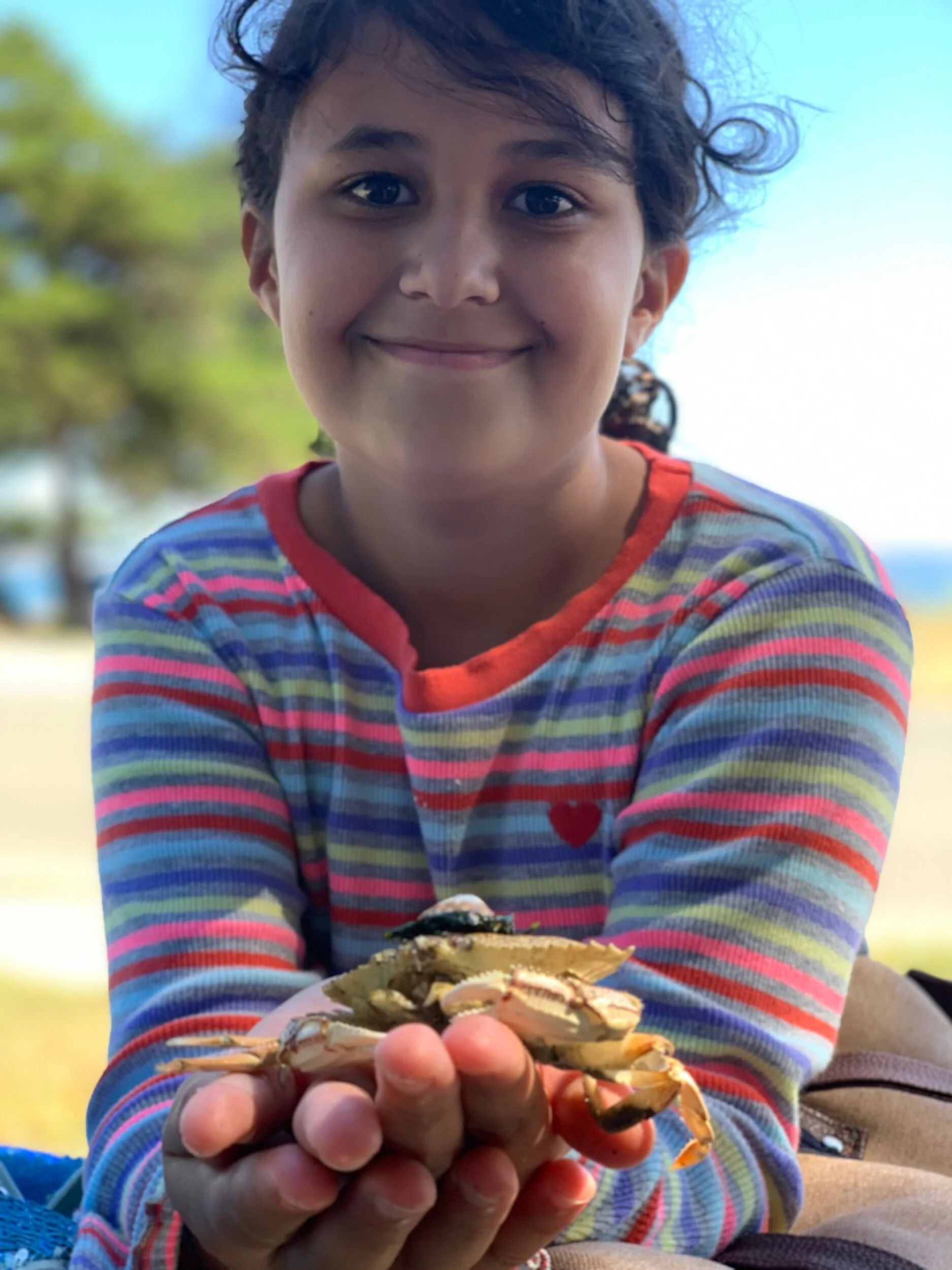 Single Camp Day Sponsorship Ticket