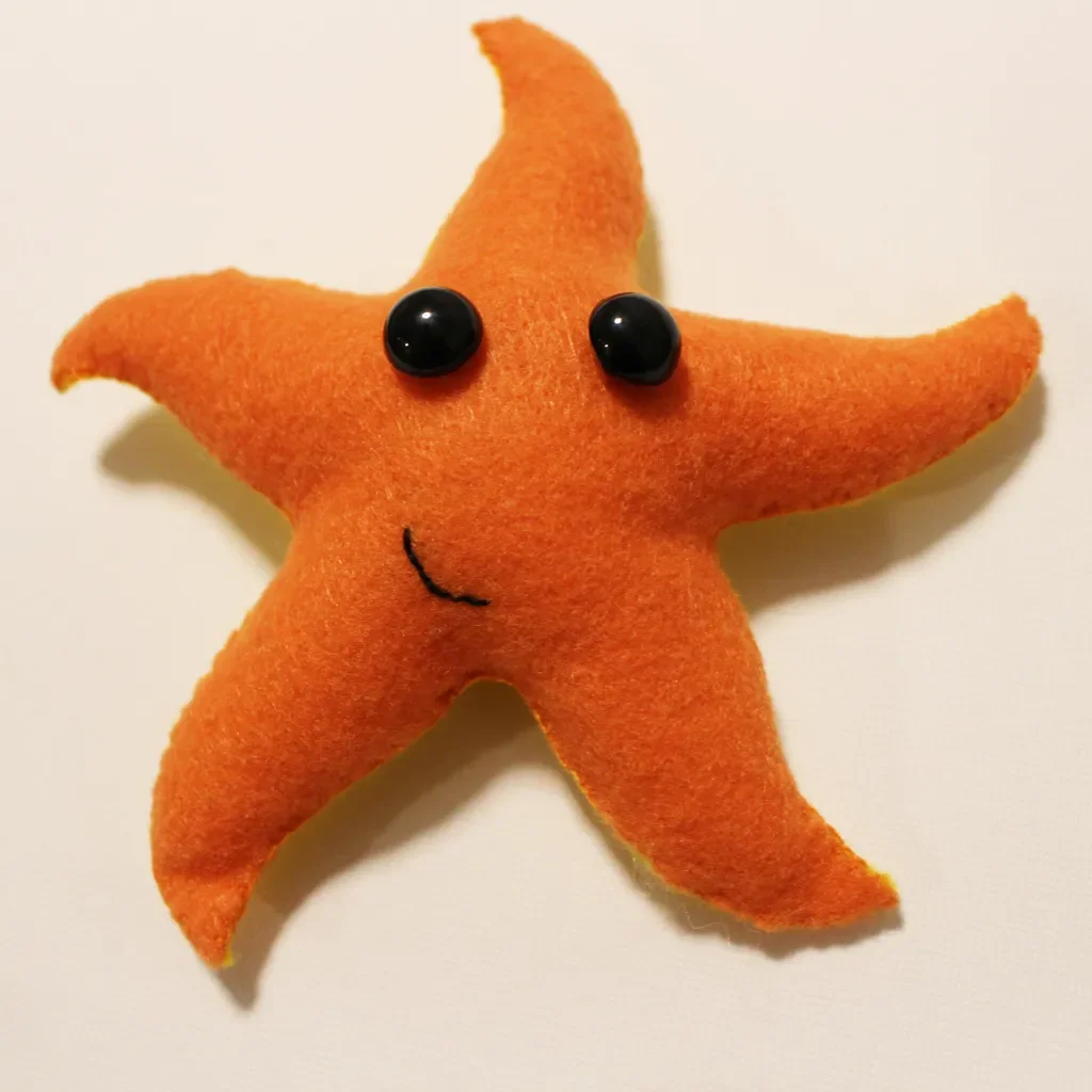 Summer Break Camp: Creatures of the Sea and Shore (Port Townsend)