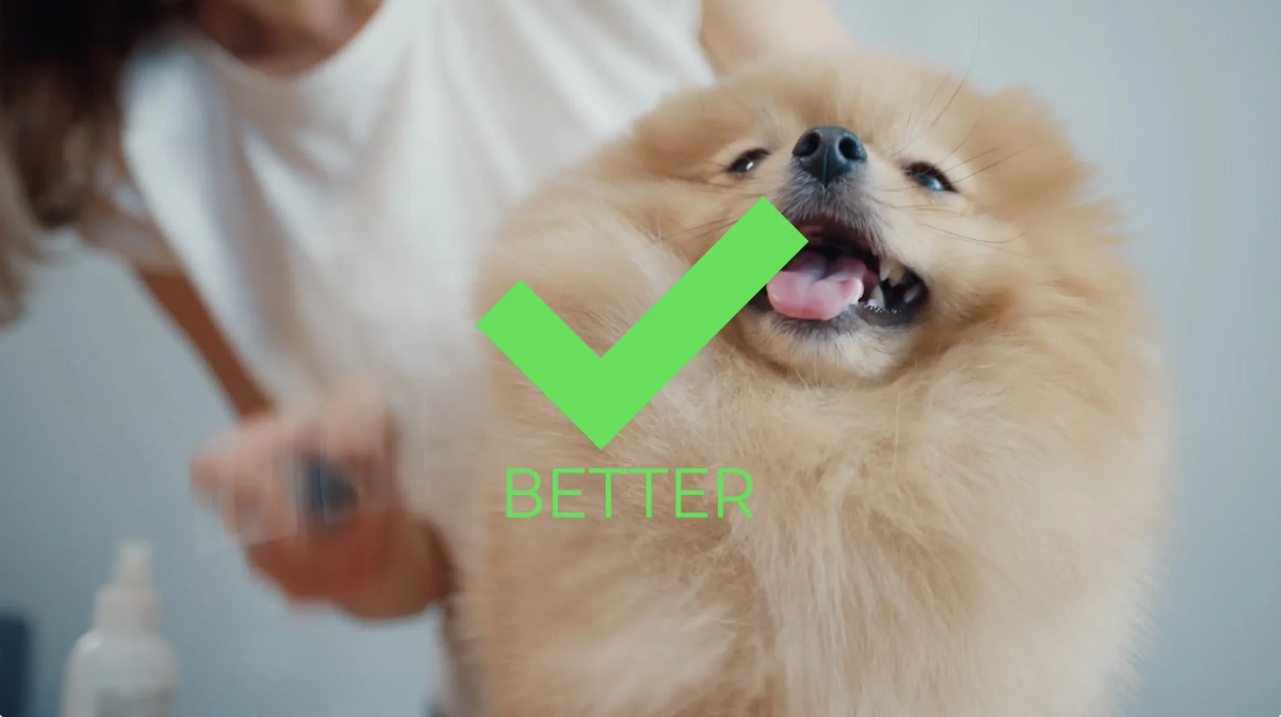 How Clients with Small Budgets Can Produce Big TV Commercials