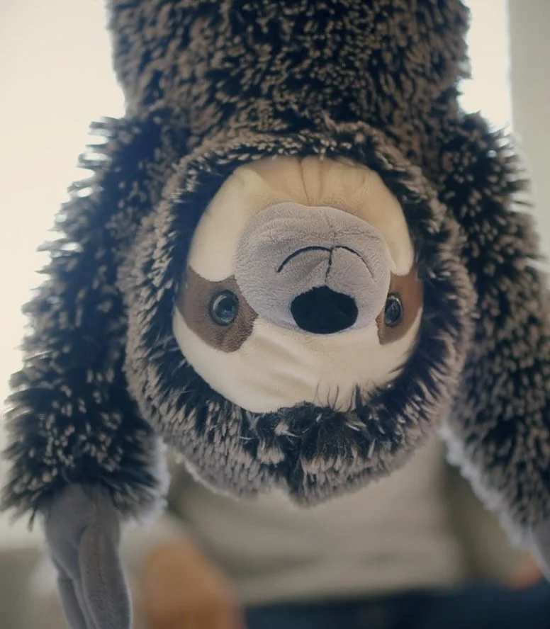 Mr-Fuzzy.jpg