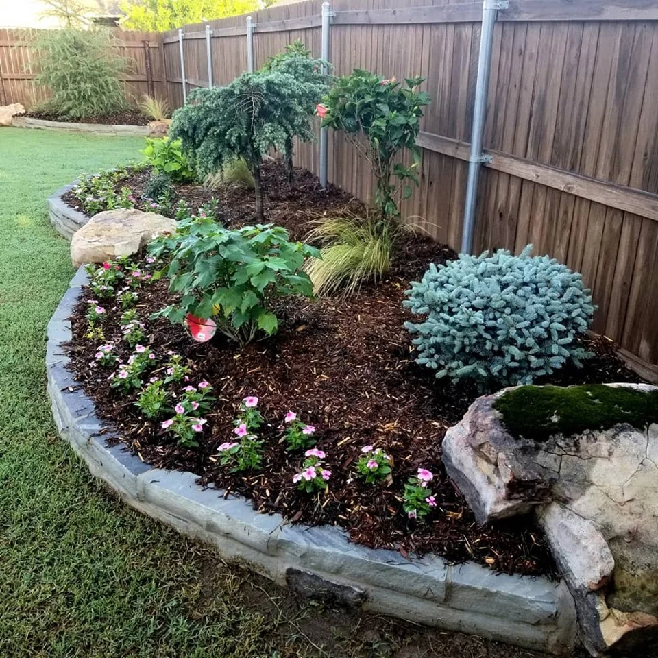 marshbackyard3.jpg