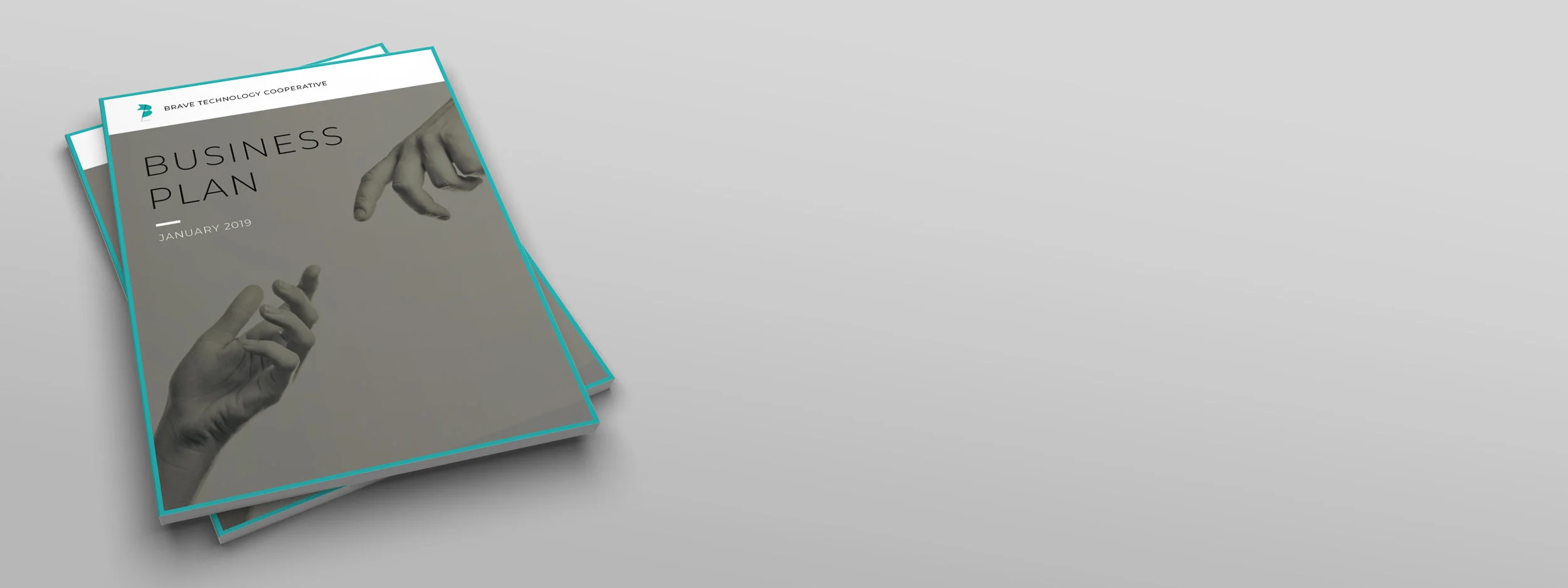 Brave_BizPlan_FrontCoverStack.jpg
