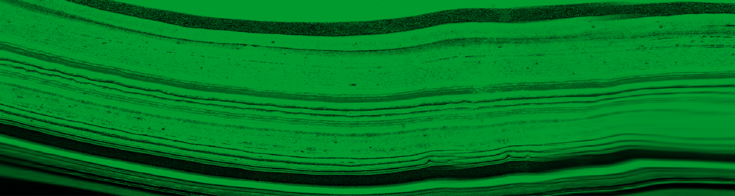 DIBWebHeaders_Green-01.png