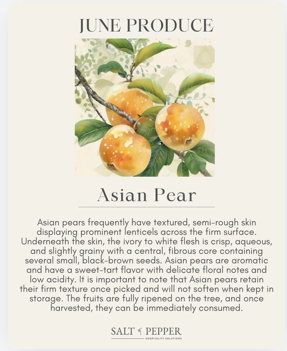 June produce 🤌🏼 

Asian 🍐 info from @specialtyproduce 🍅
