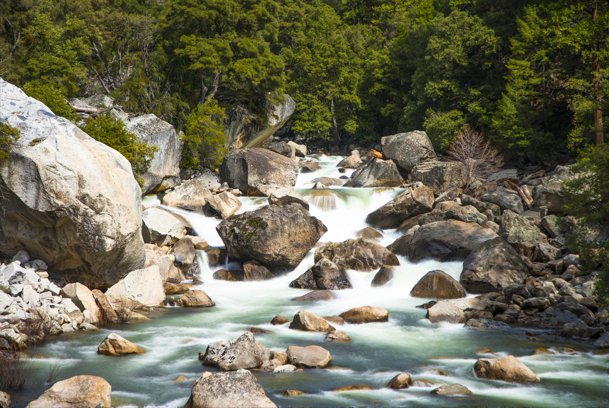 Merced River..Merced 河