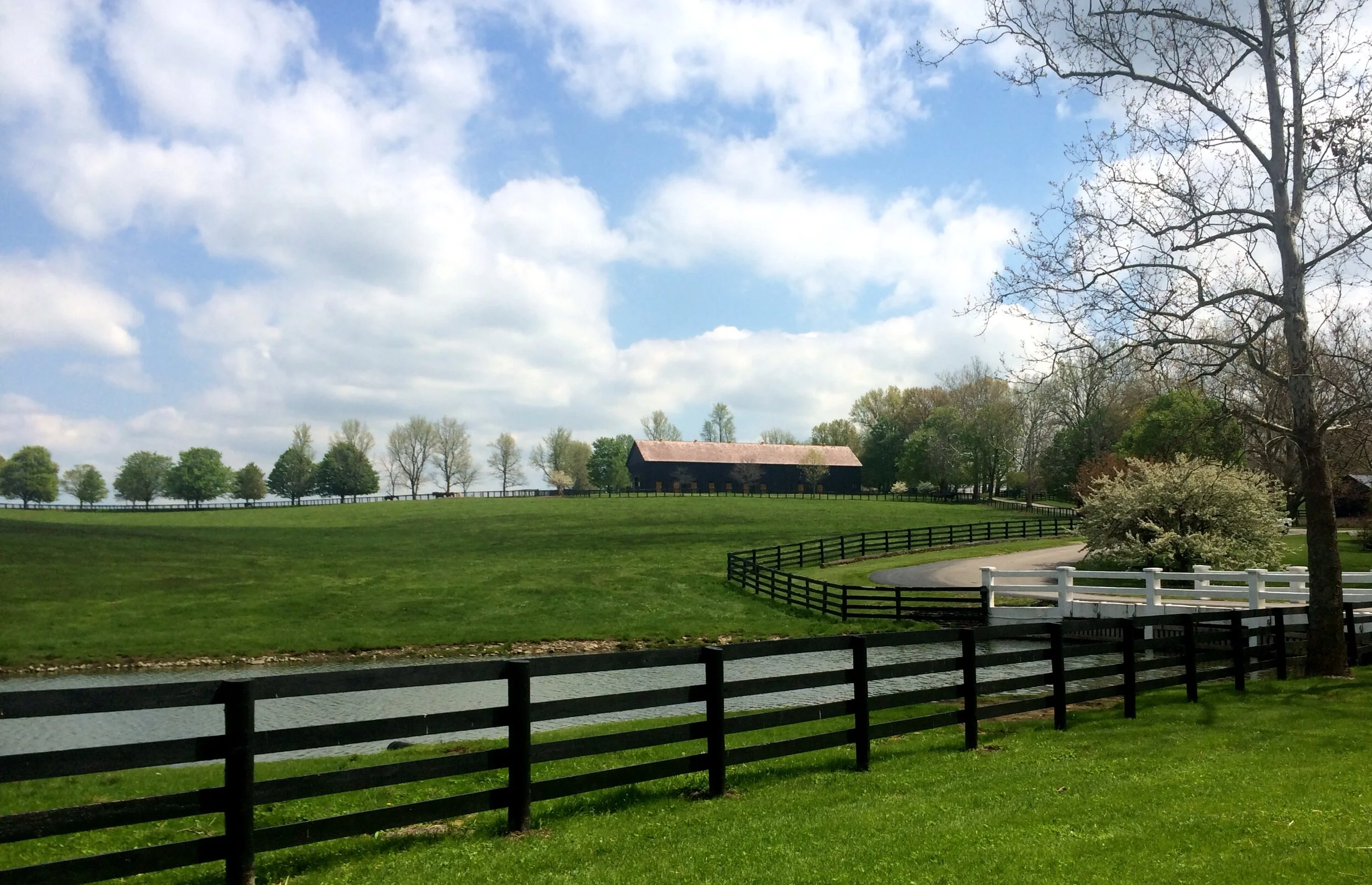 Claiborne Farms 5.1.15 1.JPG