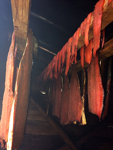 Jenny Cross's freshly harvested fish drying in her home in Haida Gwaii. Source: Shelly Crack