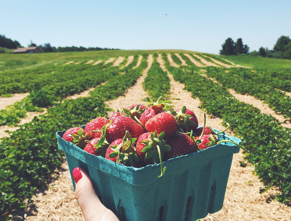 Image Source: Heather Shevlin (Unsplash) 
