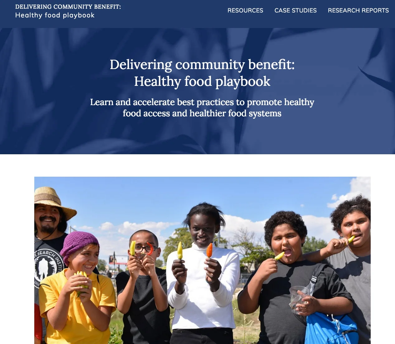 Delivering_community_benefit__Healthy_food_playbook___Healthy_food_playbook.jpg