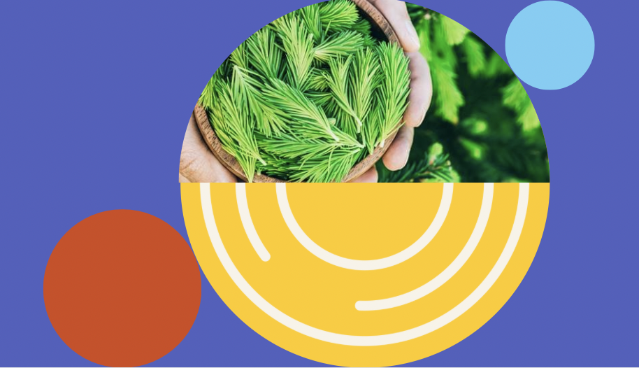 Food Infrastructures for Planetary Health