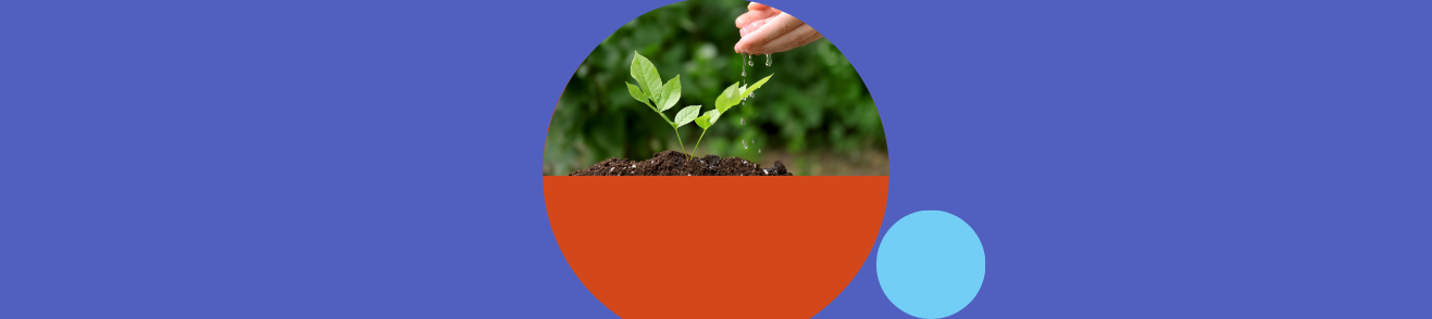 Inspiration &amp; Progress from the Third Nourish Anchor Cohort Teams