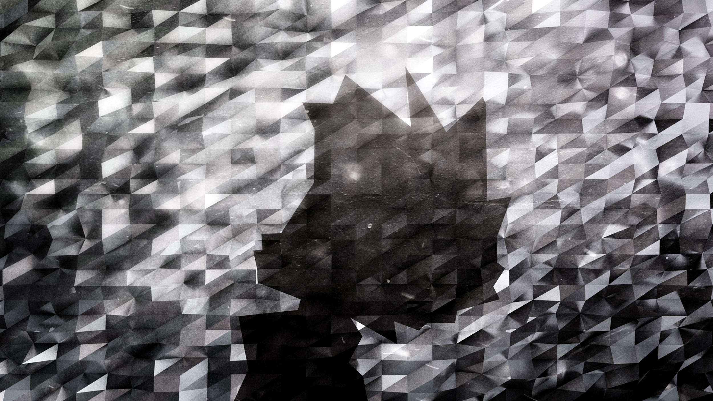 Carboni_Boondocks_Abstract_05 copy.jpg