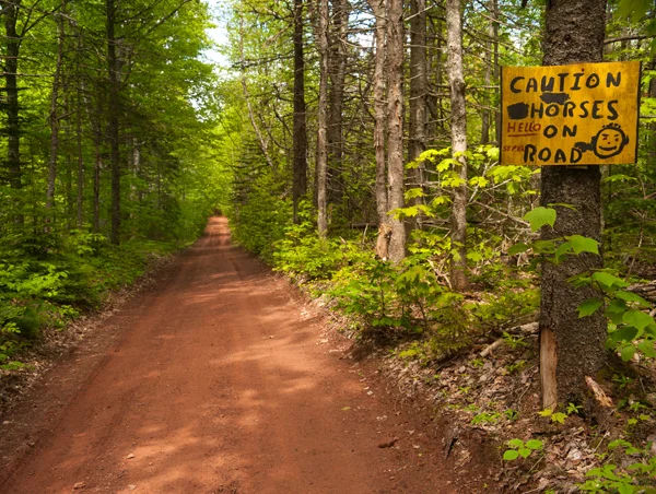 Perry Road .jpg