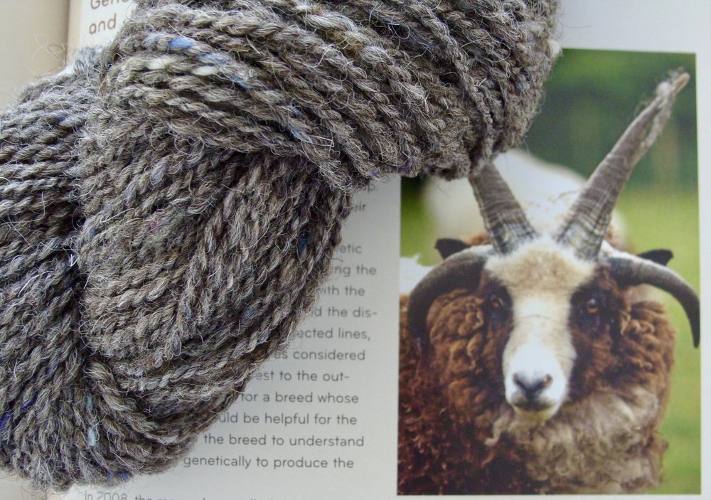 Heritage Breed 100 grams Black Jacob Wool Combed Top