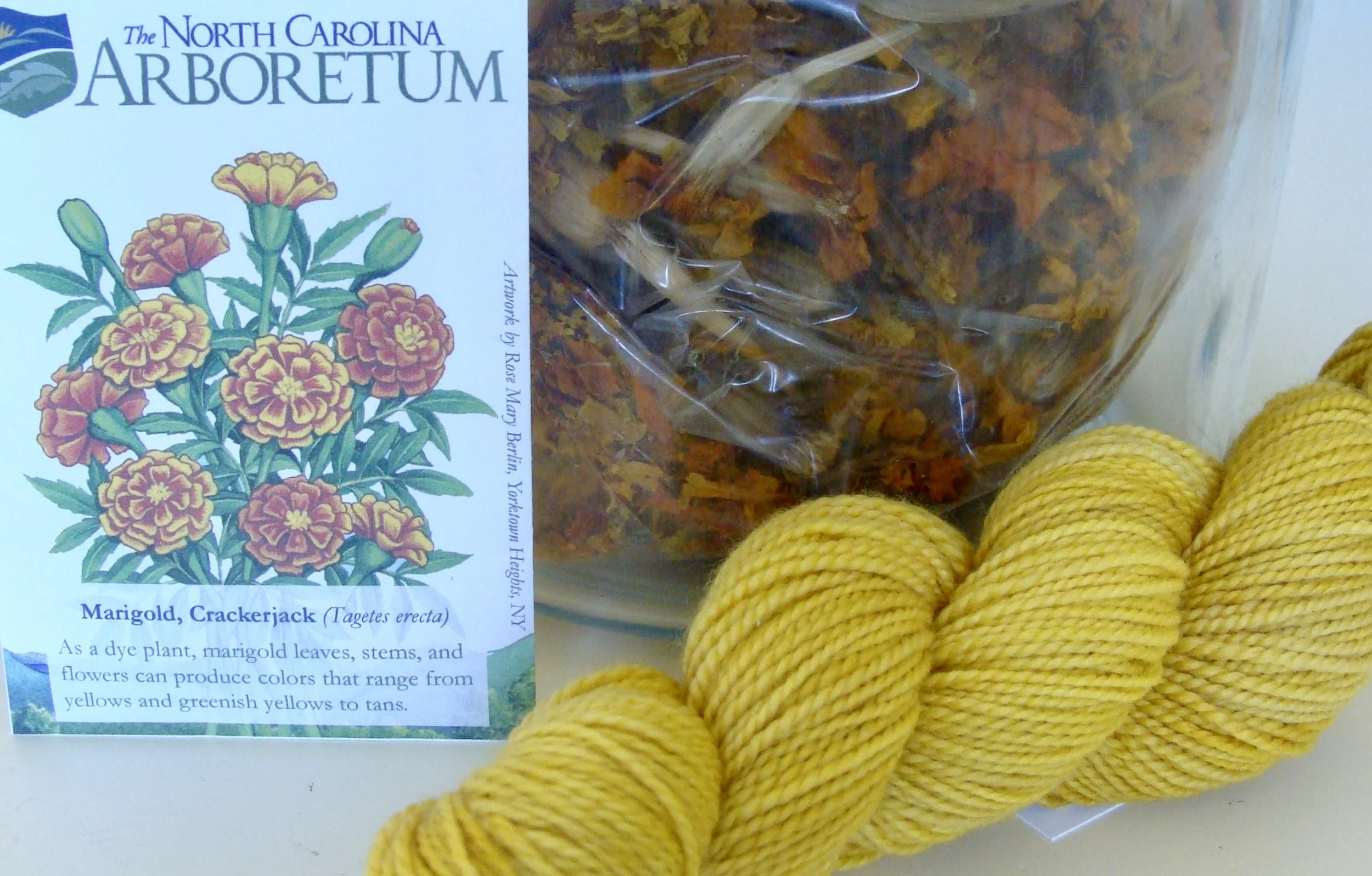 Let's Dye . . . Marigold