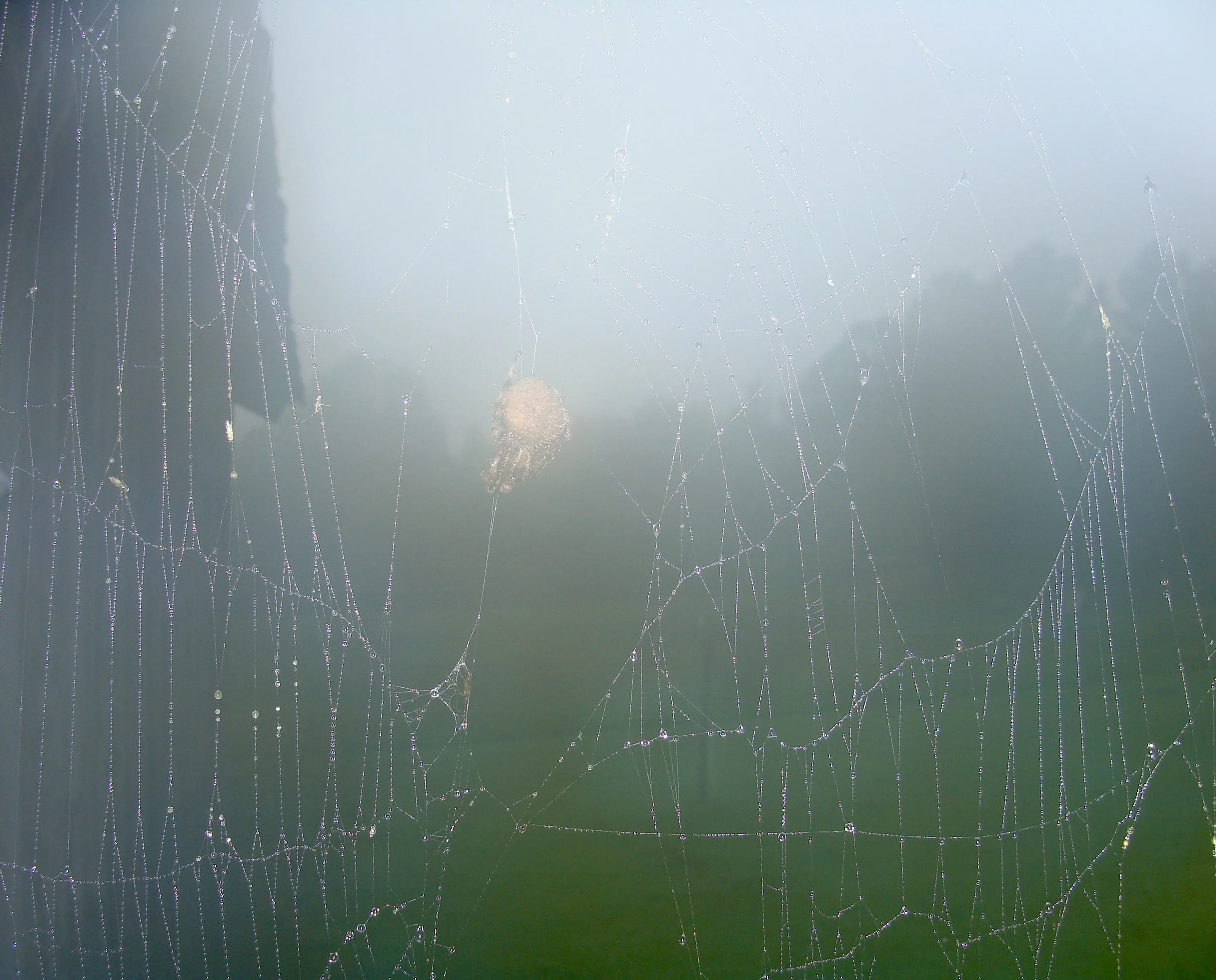 Spinning Competition at the Farm
