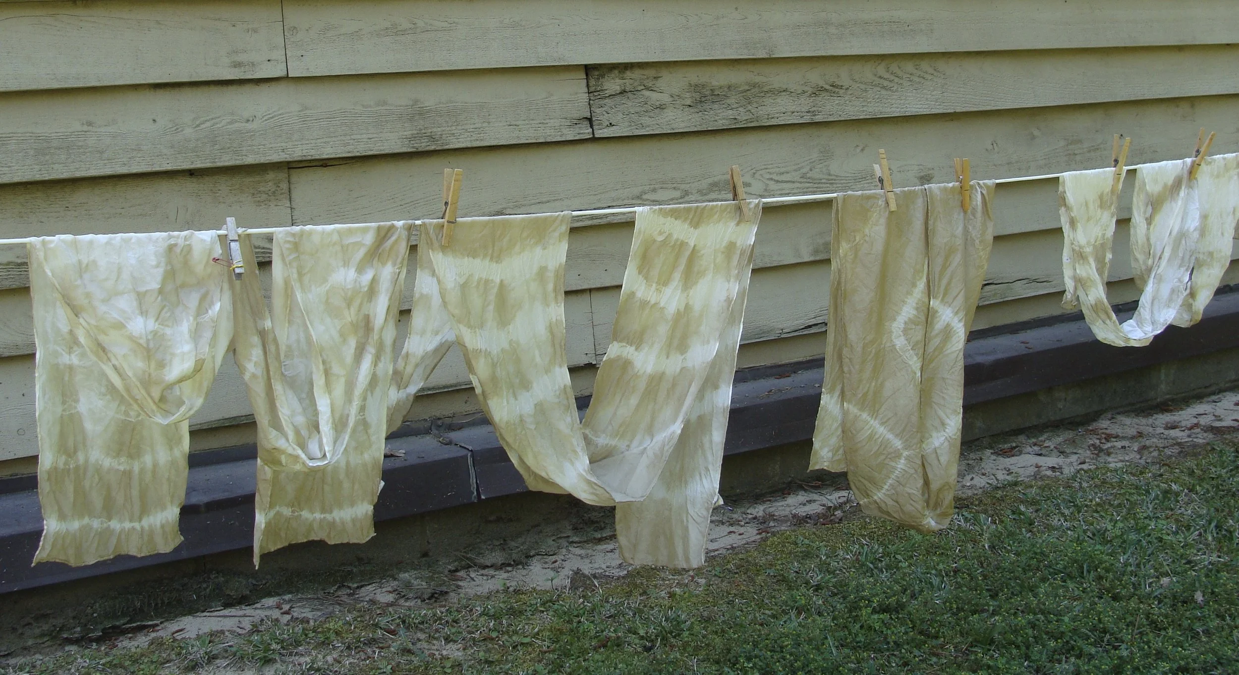 Let's Dye . . . Black Walnut