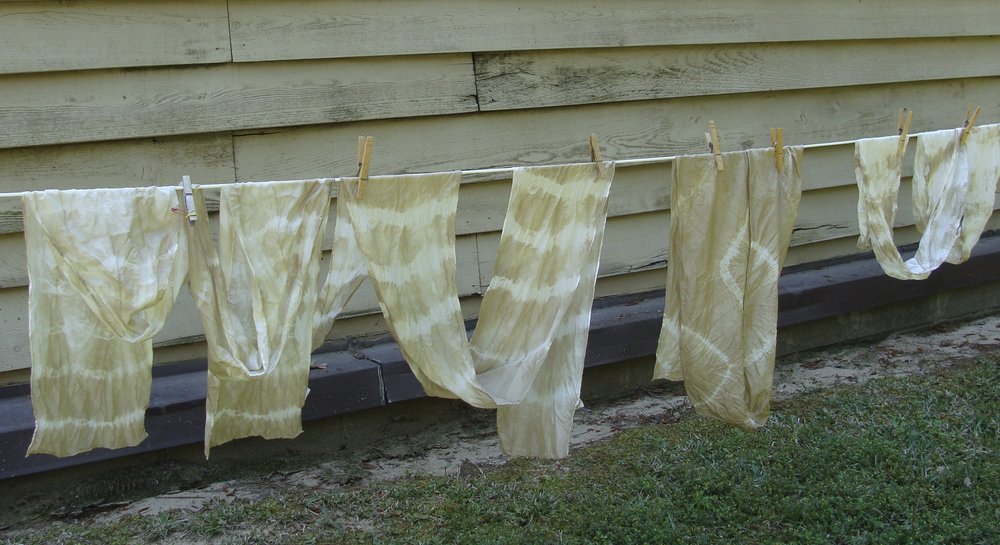 Black Walnut Season  Natural Dye: Experiments and Results