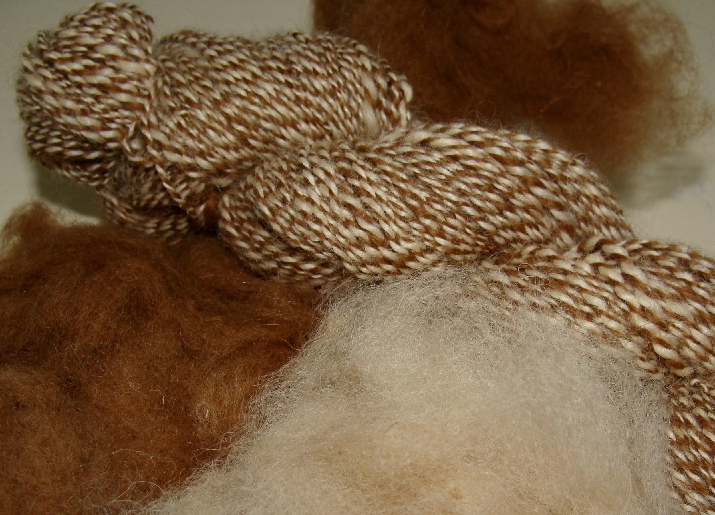 Let's Spin . . . Alpaca