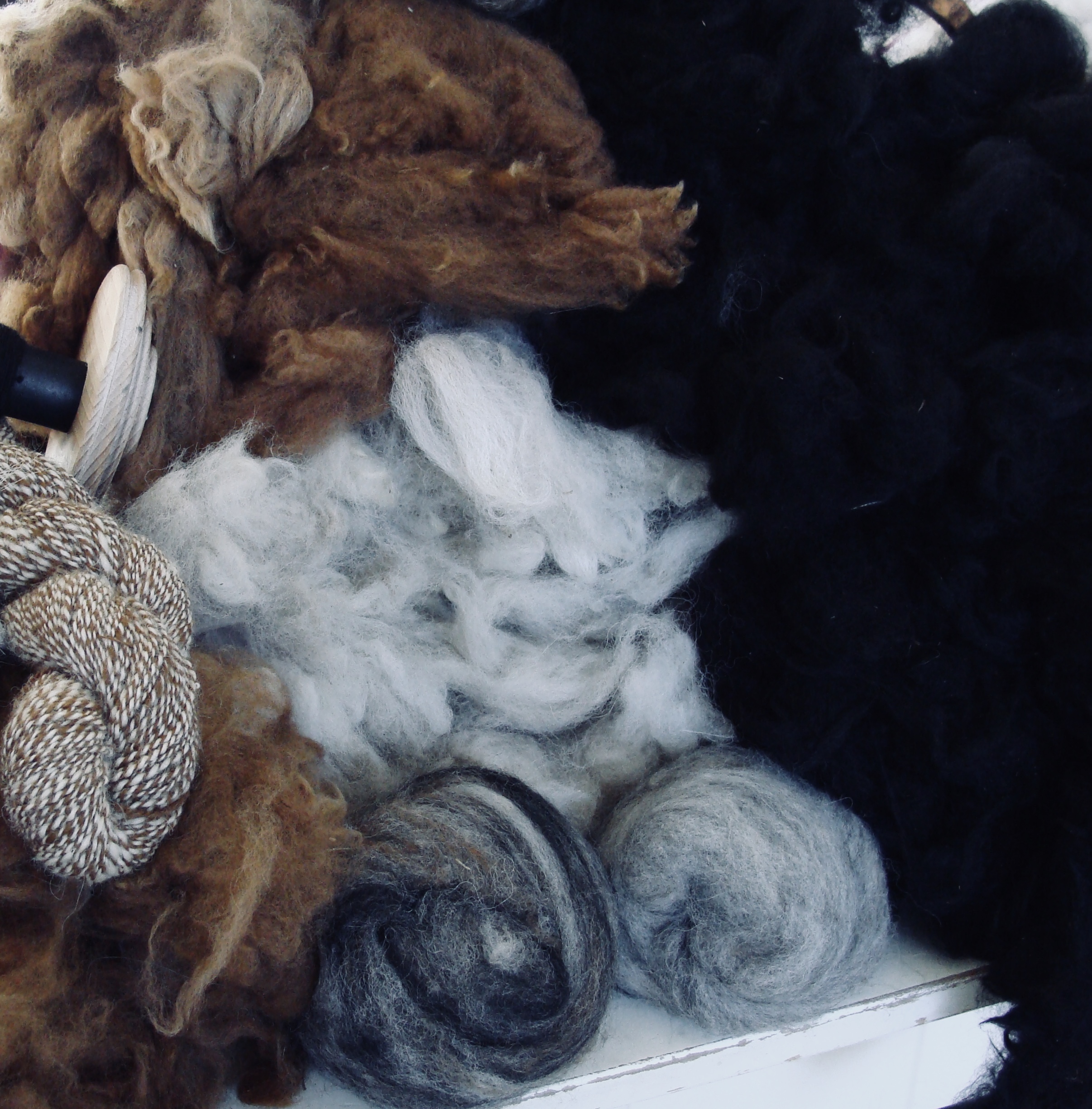 Chunky Multicolor Yarn - Alpaca Life Collection by Alpacas of