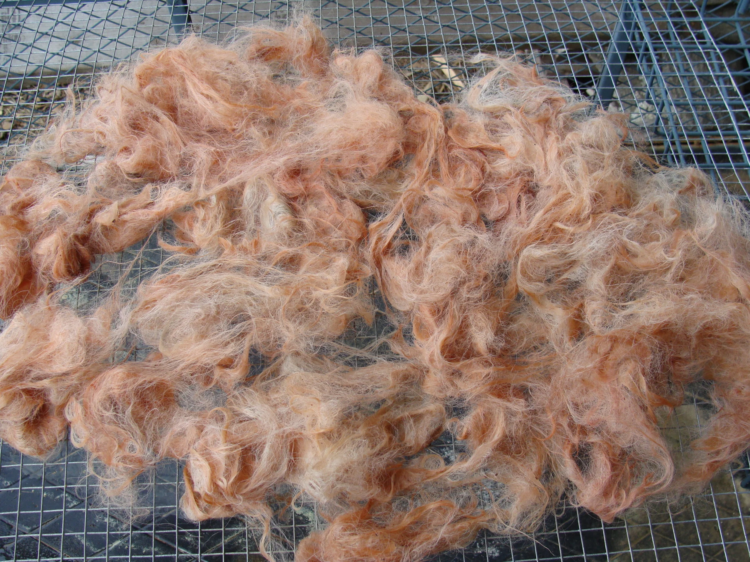 Let's Dye . . . Madder