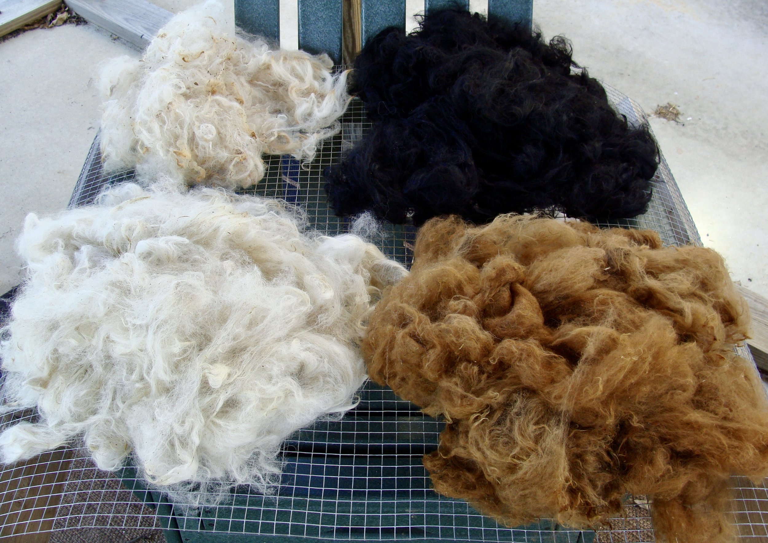 ABC - Alpaca, Blending, & Color — FLORA & FIBER