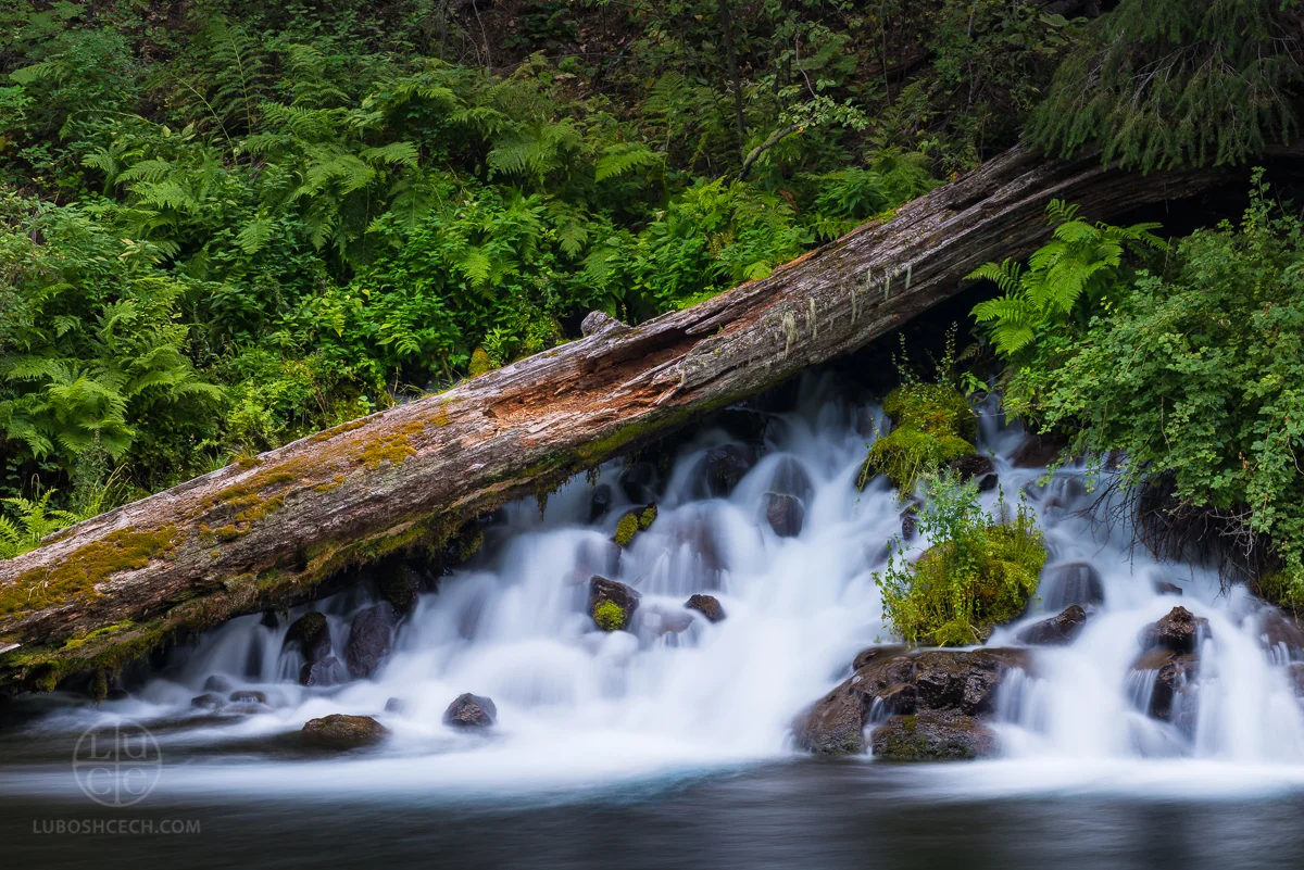 Metolius River, Oregon (2017)