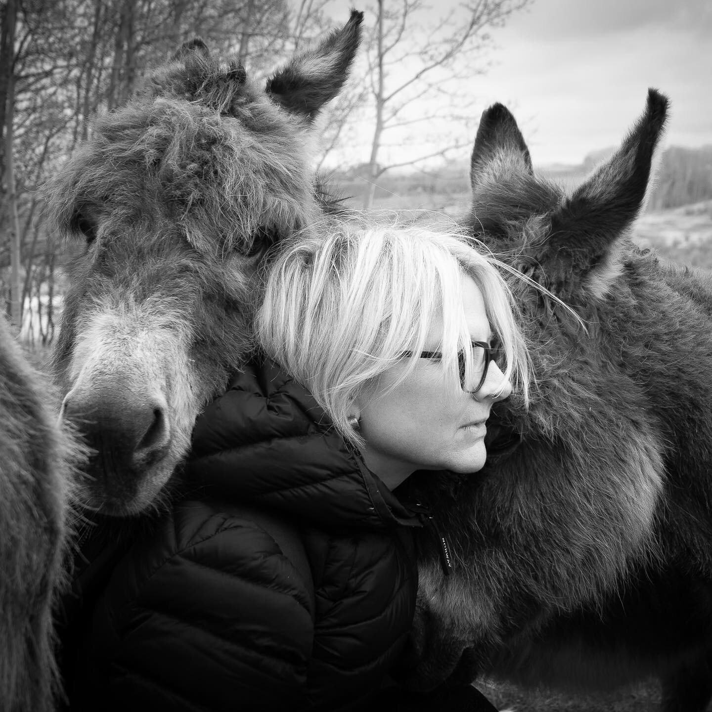 &quot;Listening is the most important offer we can give to each other.&quot; 

My dear Somatic Transformation teacher, Rita Bozi, during our Equine &ndash; and apparently donkey &ndash; Therapy morning in Calgary last week. 

Who's healing whom? We h