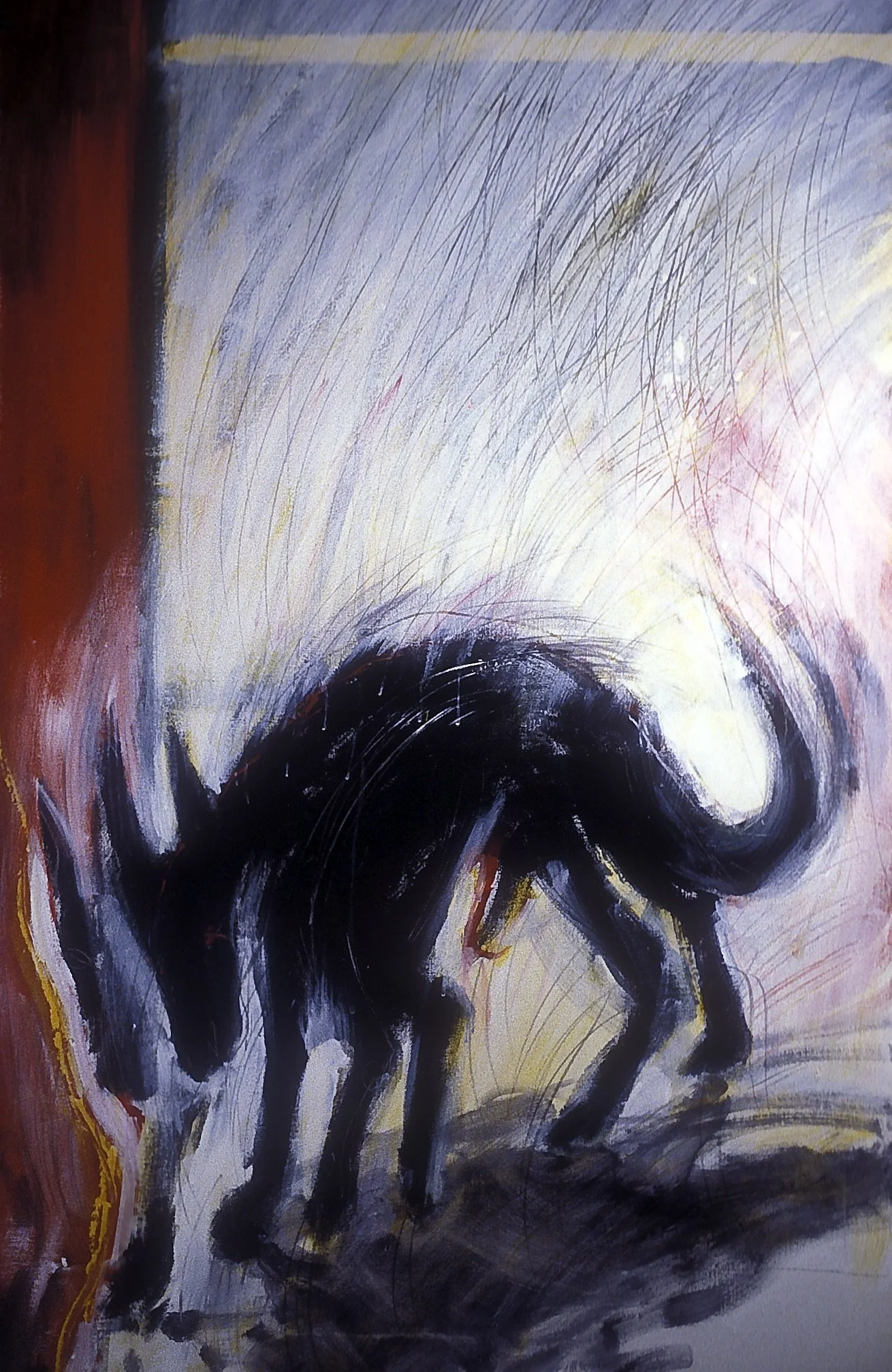 03. Animal (48x30).jpeg
