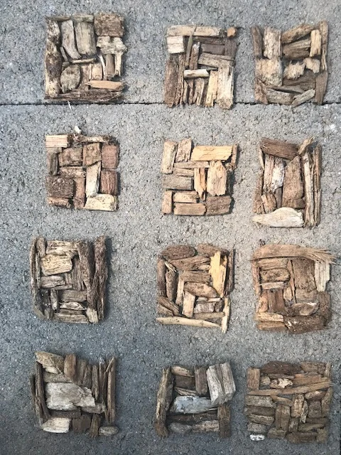 Mulch doodles while waiting for my ride.