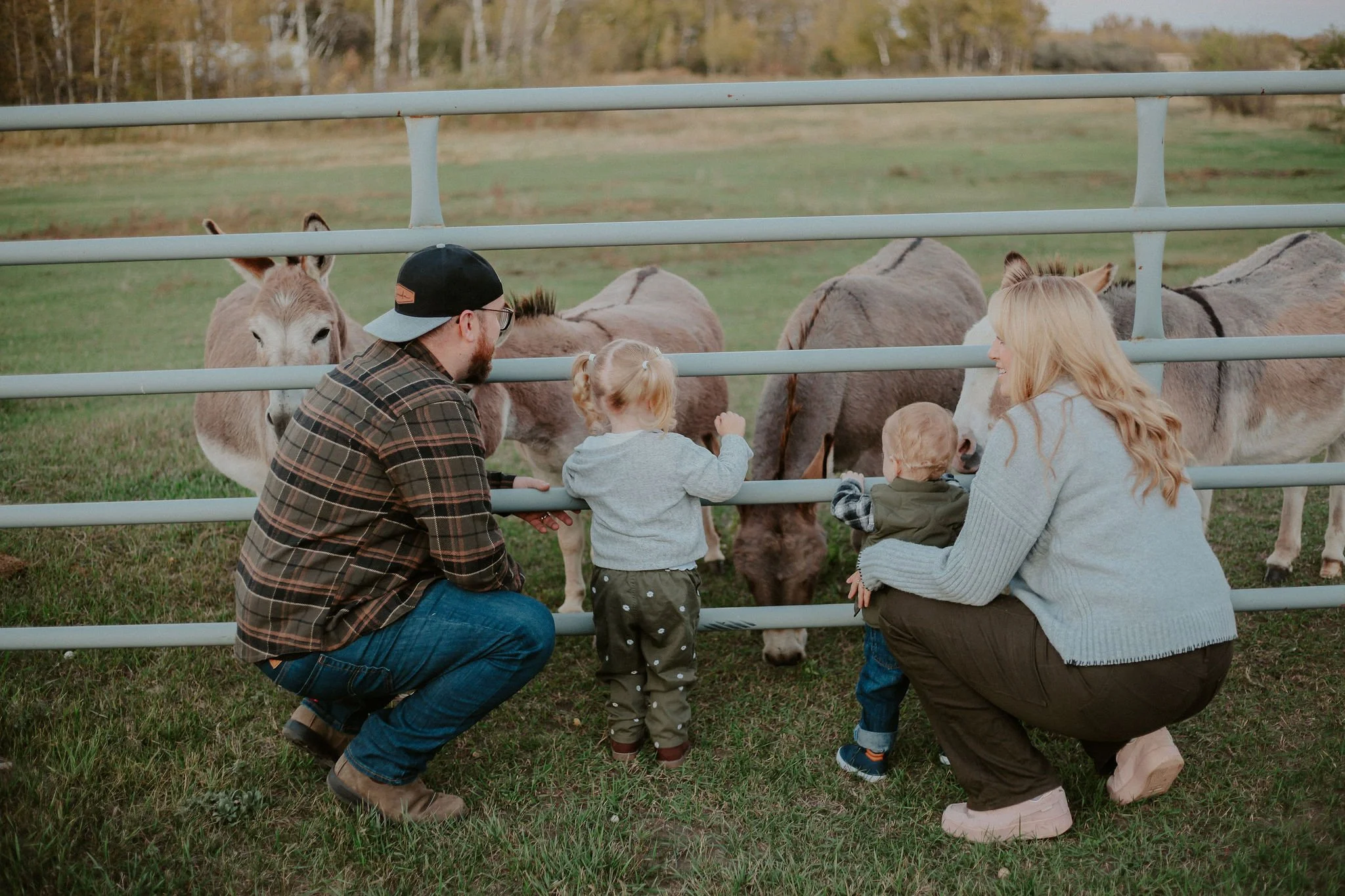 cowans-97.jpg