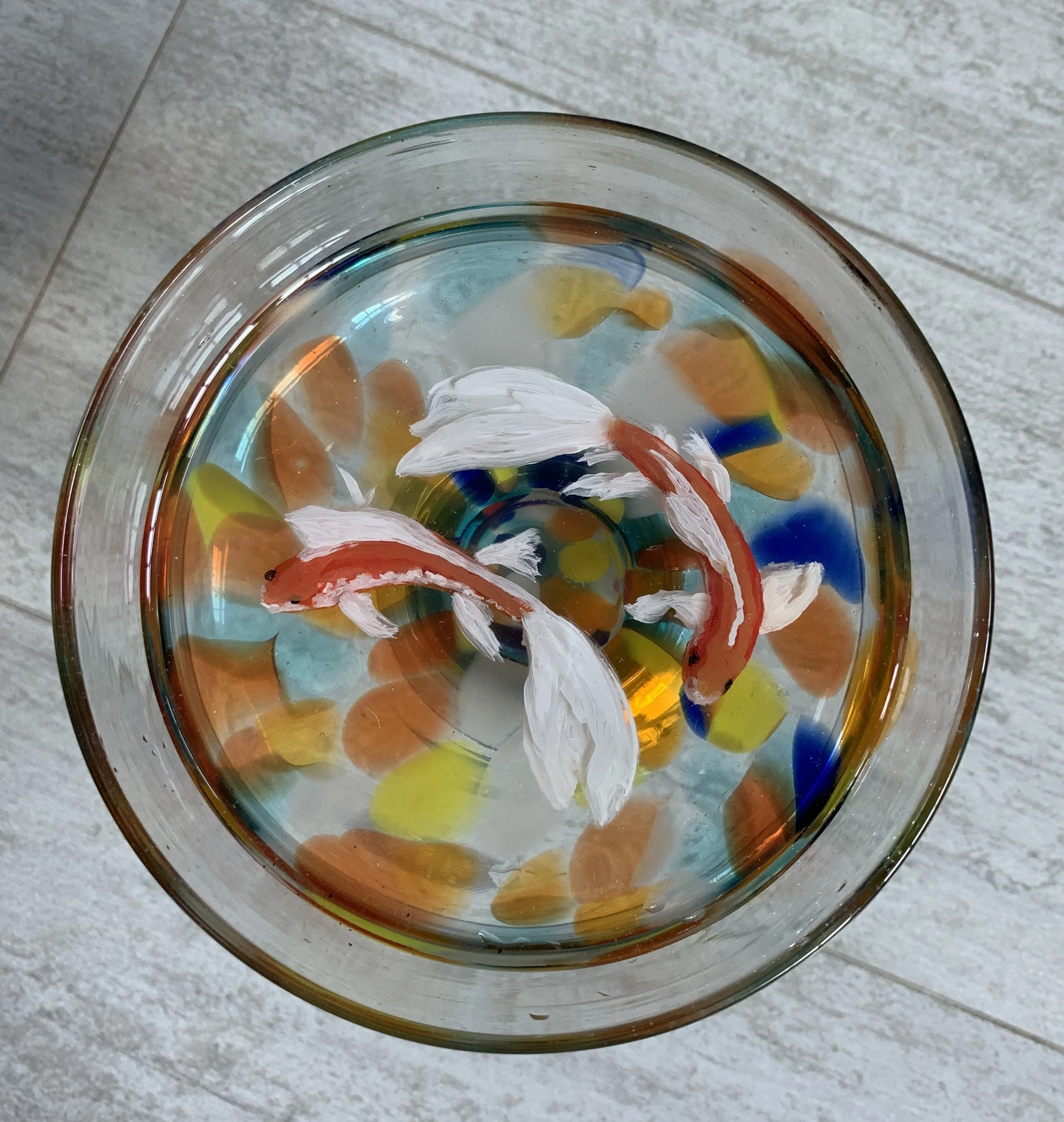  Goldfish in a Margarita Glass, Top View