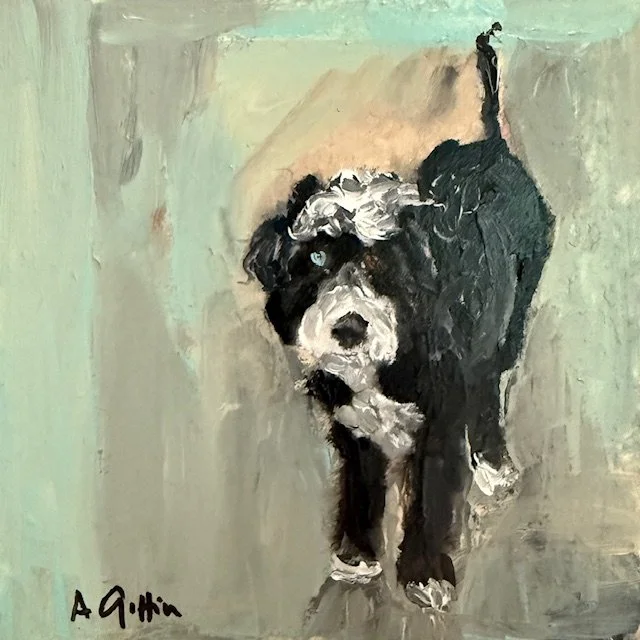 Blue and Brown Eyed Frisbee