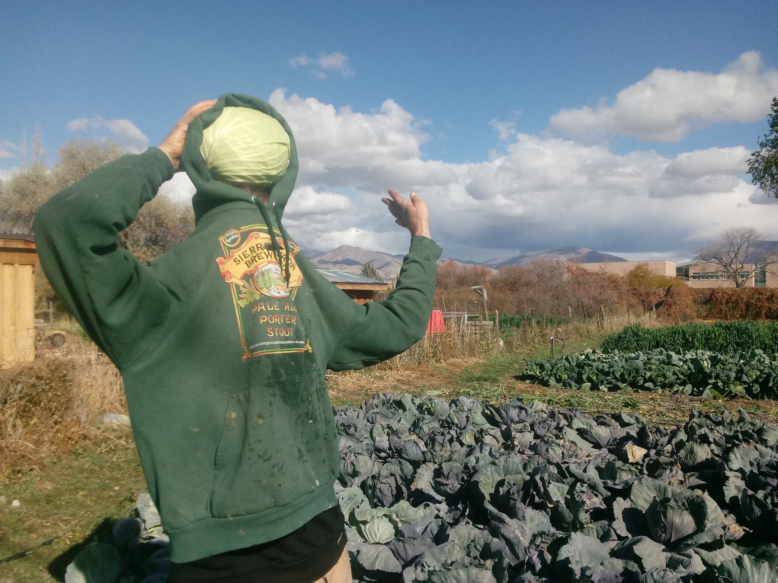 20181030_145911.jpg