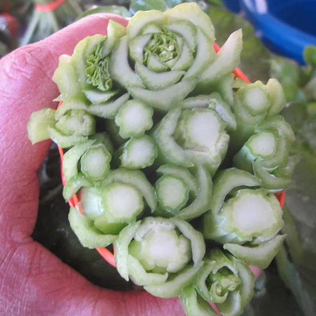 Fractal-ish veggie tails. 
#tatsoi #ijustlikehowitlooks
#harvestday #farmingdistractions
