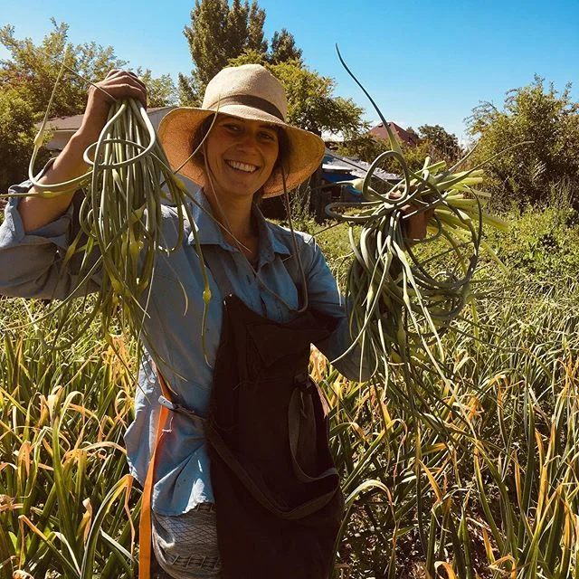She didn&rsquo;t want me to post this, but scapes are just so fun to harvest! Also, she&rsquo;s lovely. #bugfarmscsa #garlicscapes #801 #sorrynotsosorry #saltlakecity