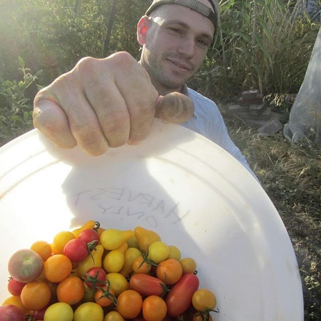 Eat your tomatoes. 
#bouttime #finally #csa #latesummer