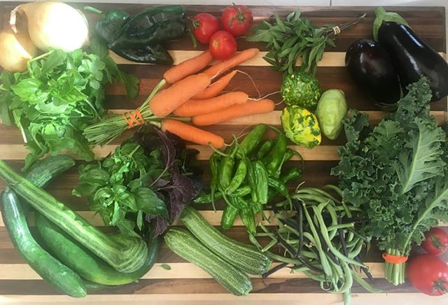 Can't believe we're in week 14 already. 
#csafarmshare #urbanfarm #CSAUtah #smallfarm #chronicproduce #soilgifts