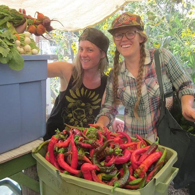 How the heck are we so lucky to have such amazing humans around all the time? Big ups and big thank yous to @andyjoychase and the amazing Manda of @slctopcrops for helping us get shares packed last night. It was a doozy of a day and we couldn't have 