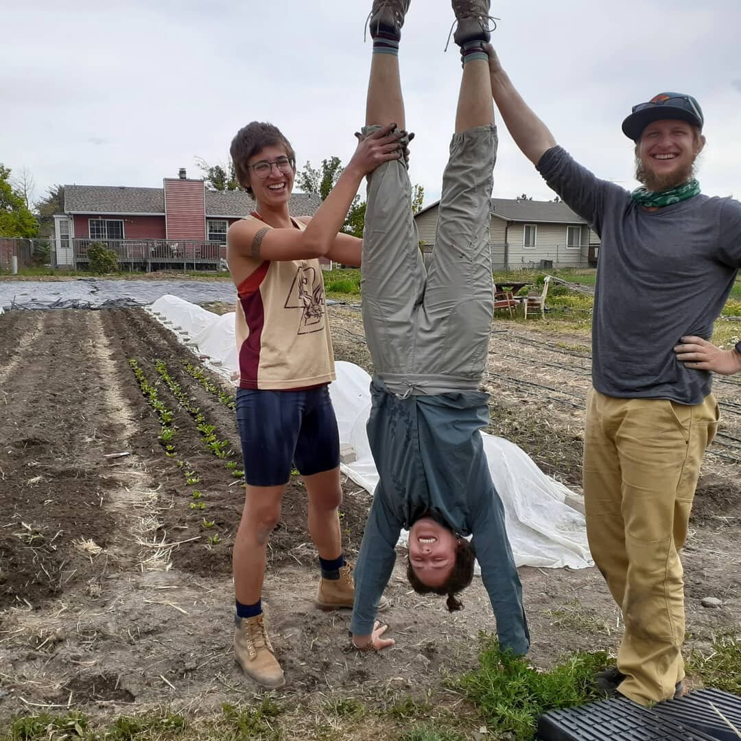 Meet our 2021 farm crew! We couldn't be more grateful to be have such hard-working and good-spirited folk with us this season. 🦄🍅🦄🥕🦄🌶
#teamworkmakesthedreamwork