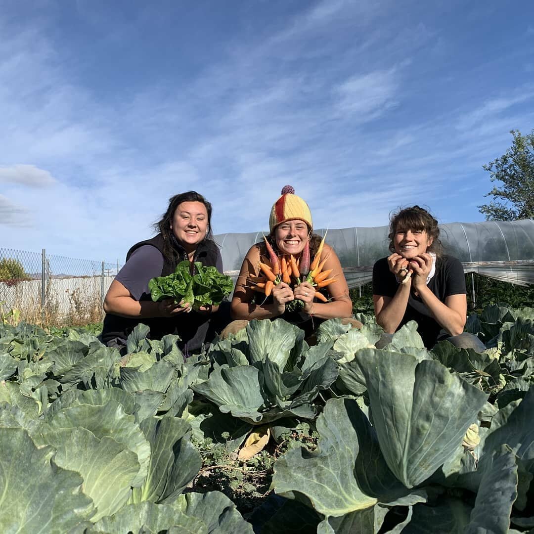 Garden posse posing. 👩&zwj;🌾👩&zwj;🌾👩&zwj;🌾
#growsomeveg #foodfam #saycheese