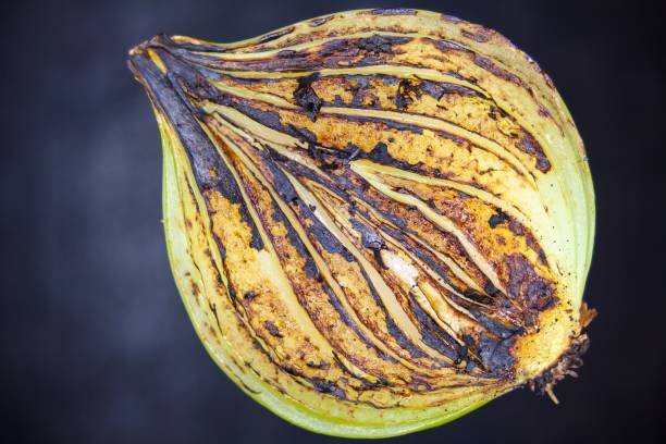 Charred Onion Vinaigrette