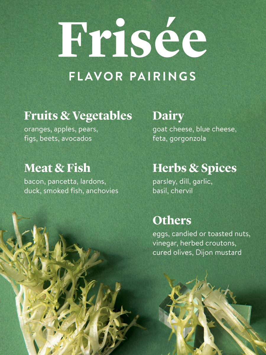 All About Curly Endive (aka Frisée)