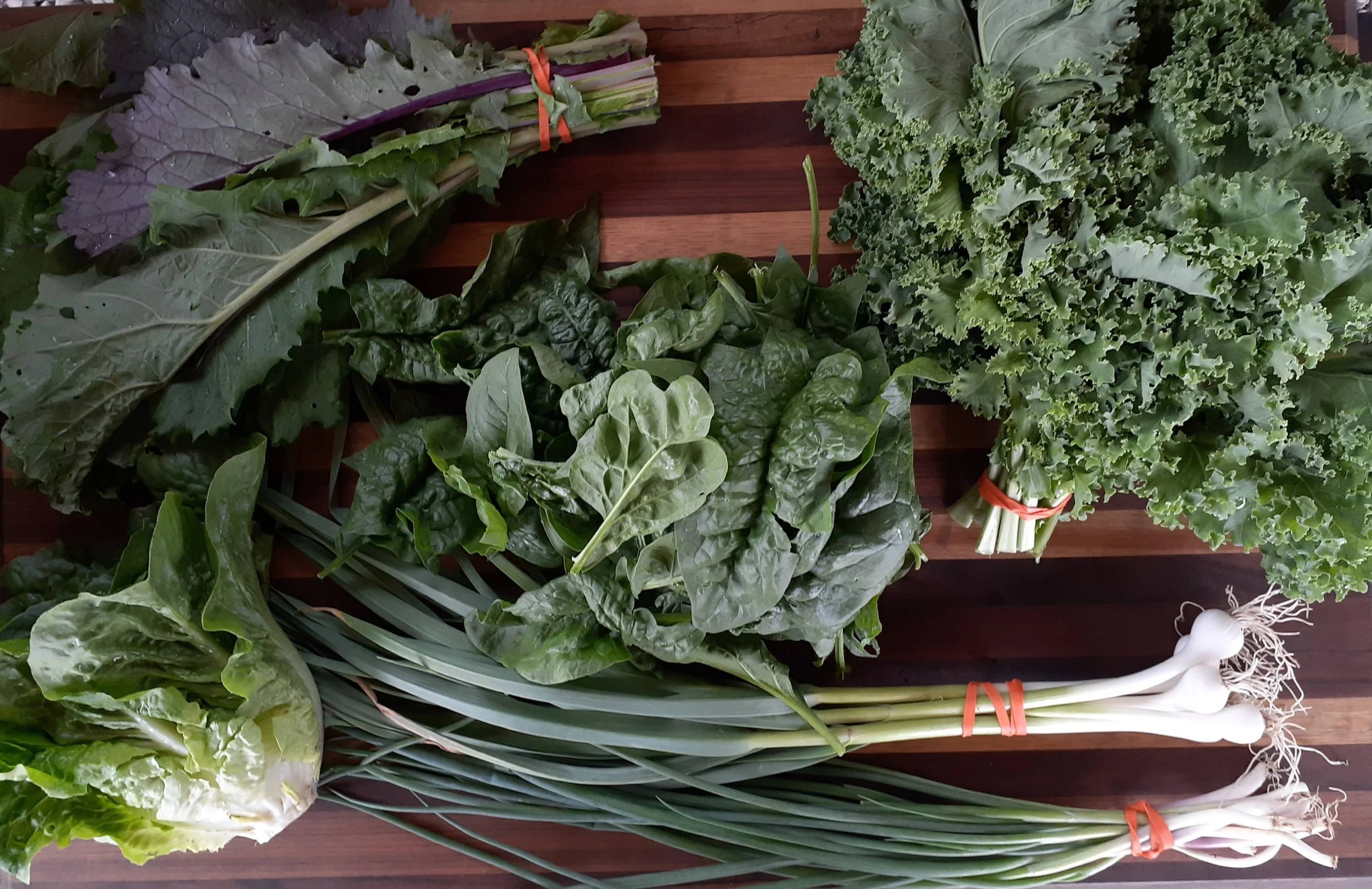 Backyard Urban Garden Farms