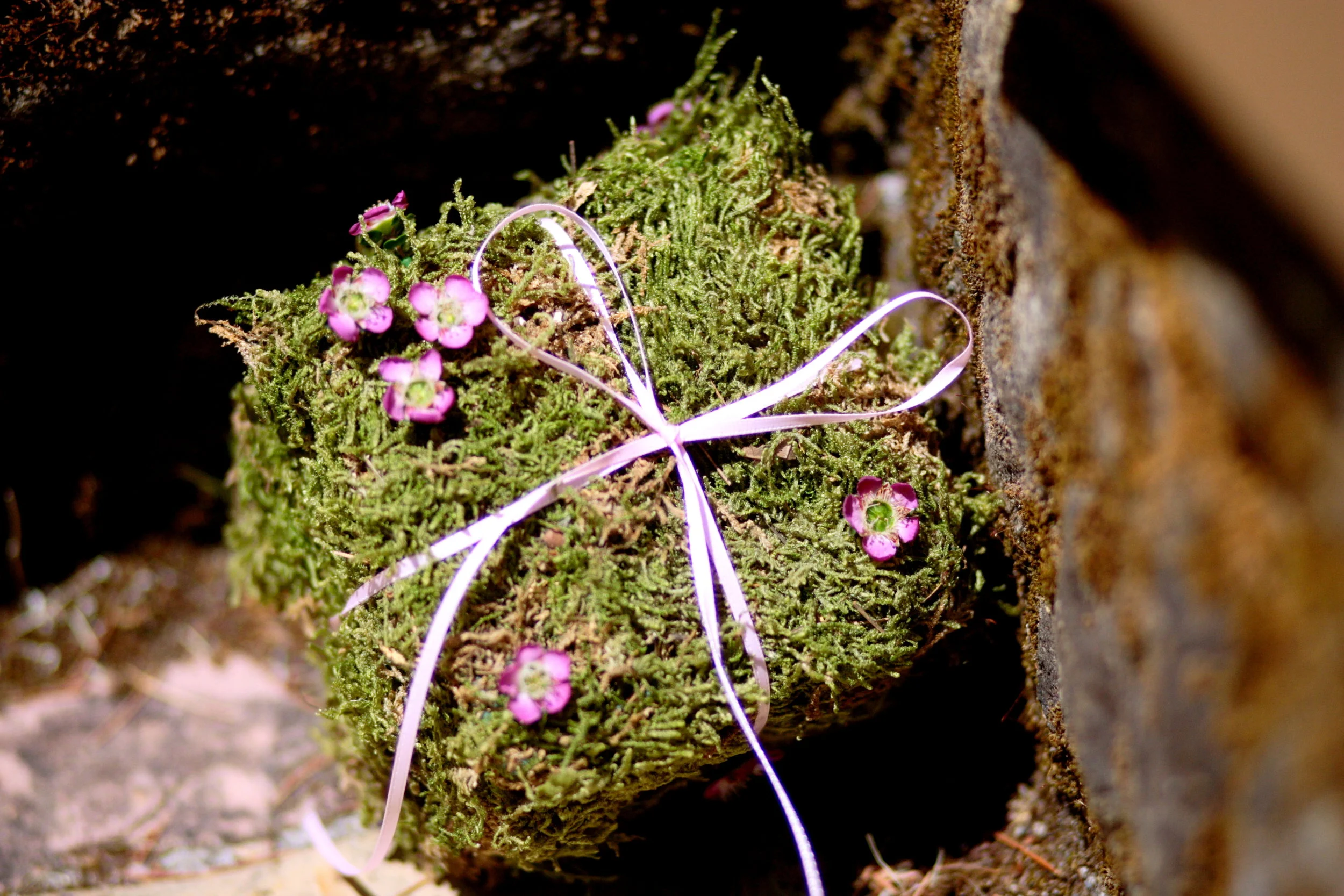 details_0025.jpg
