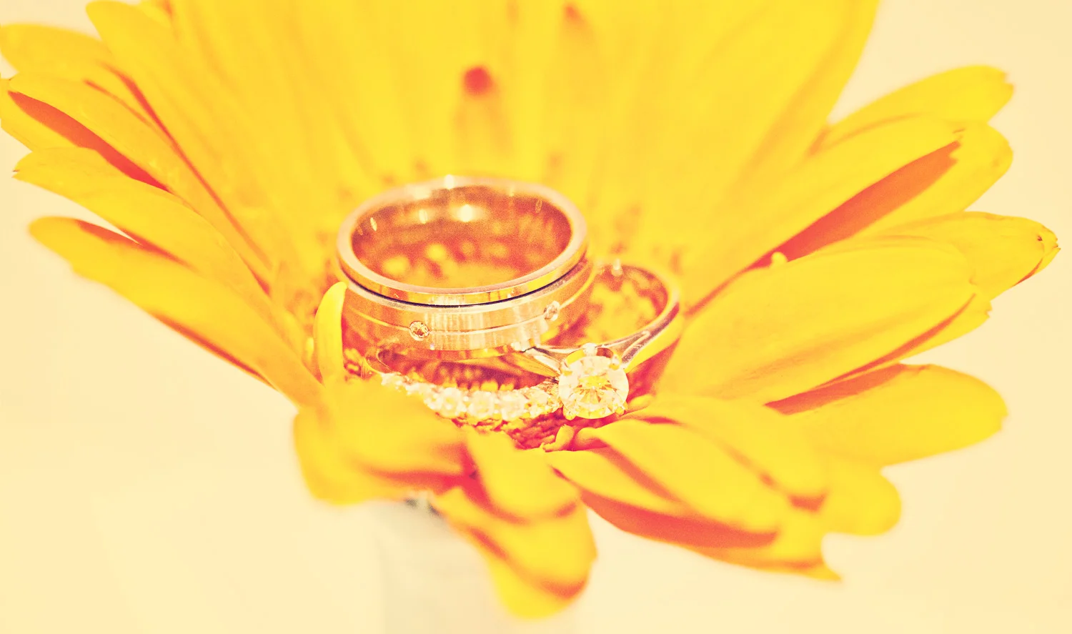 wedding-rings.jpg
