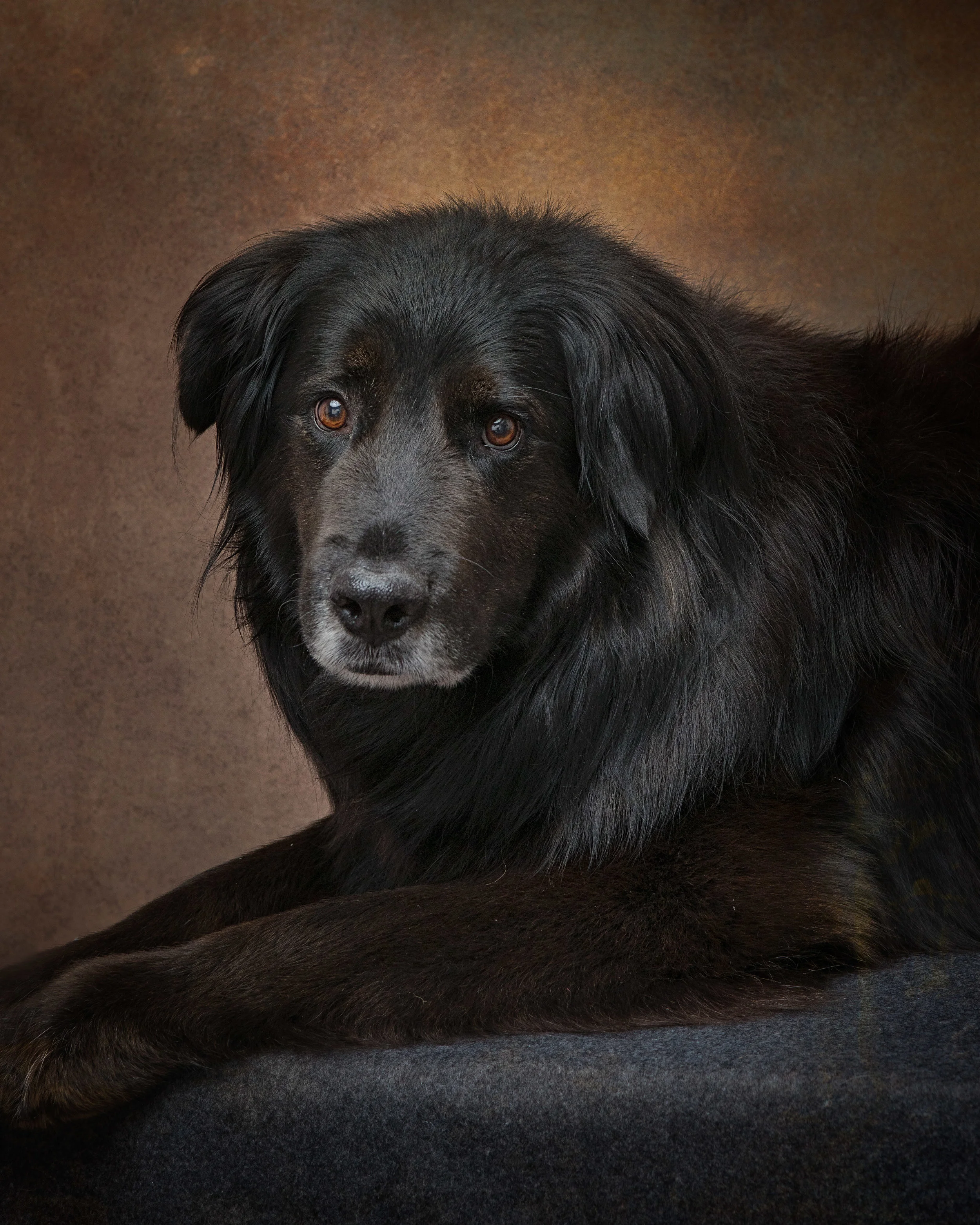 (c)2018-Kim-Sayre-SIT-Teddy-003.jpg