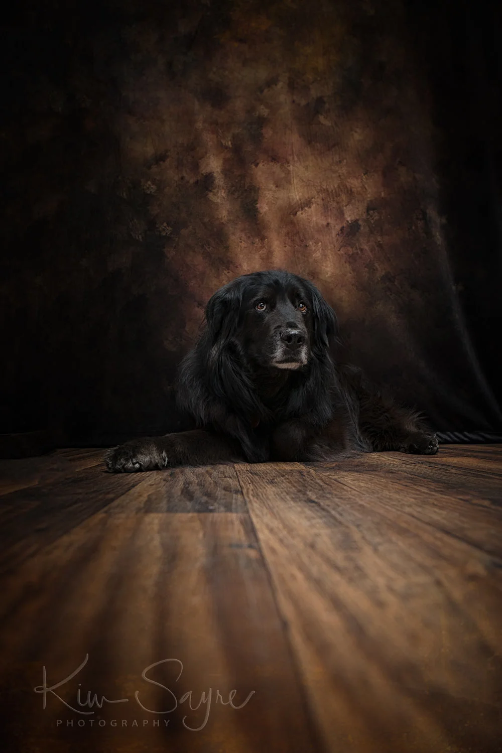 (c)2018-KimSayre-AP-Teddy-04.jpg